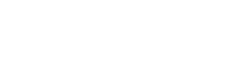 EonLifex logo