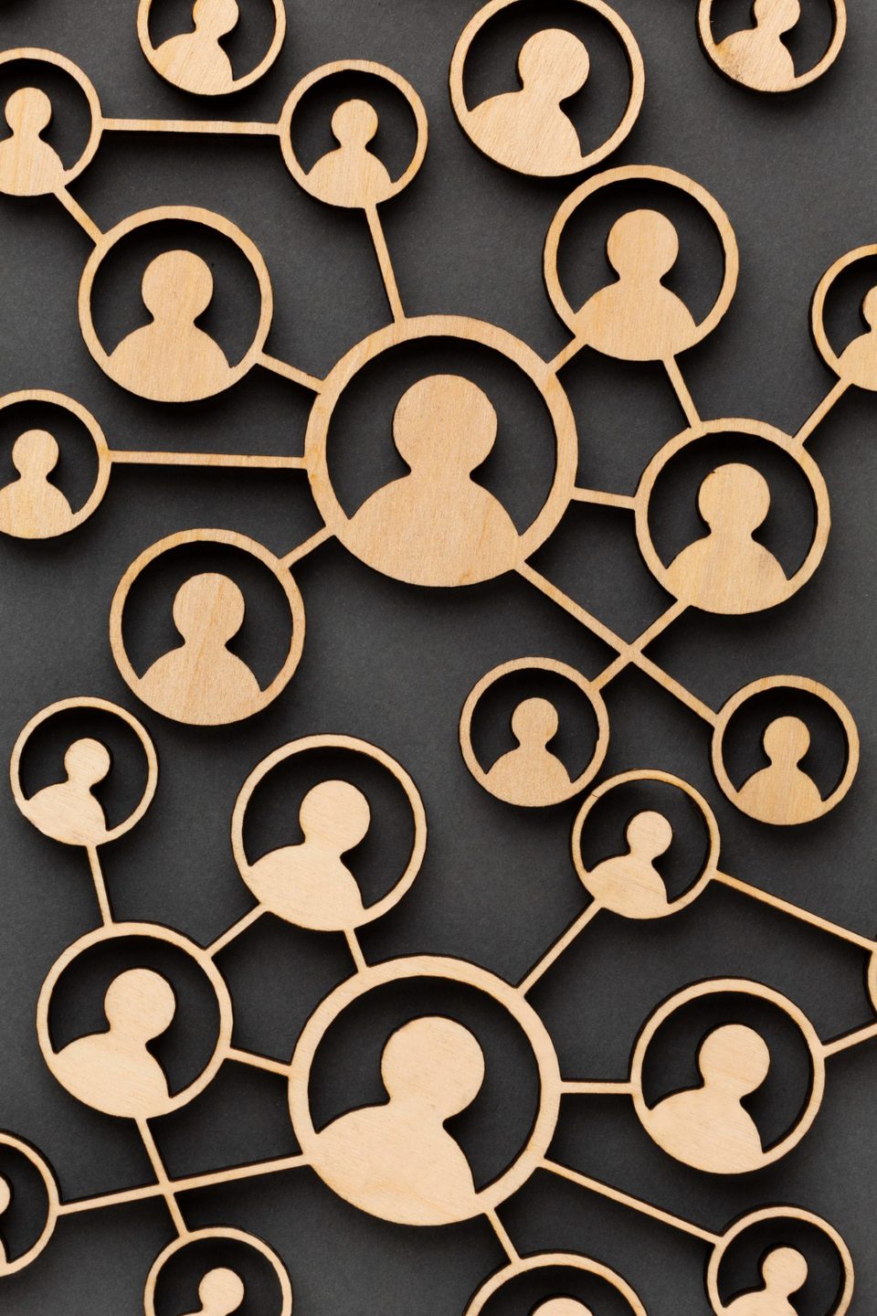 Imagen de sistema de duplicación EonLifex